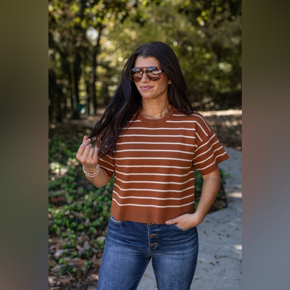 Wishlist Rust & Cream Striped Knit Short Sleeve Sweater Top (Size L)